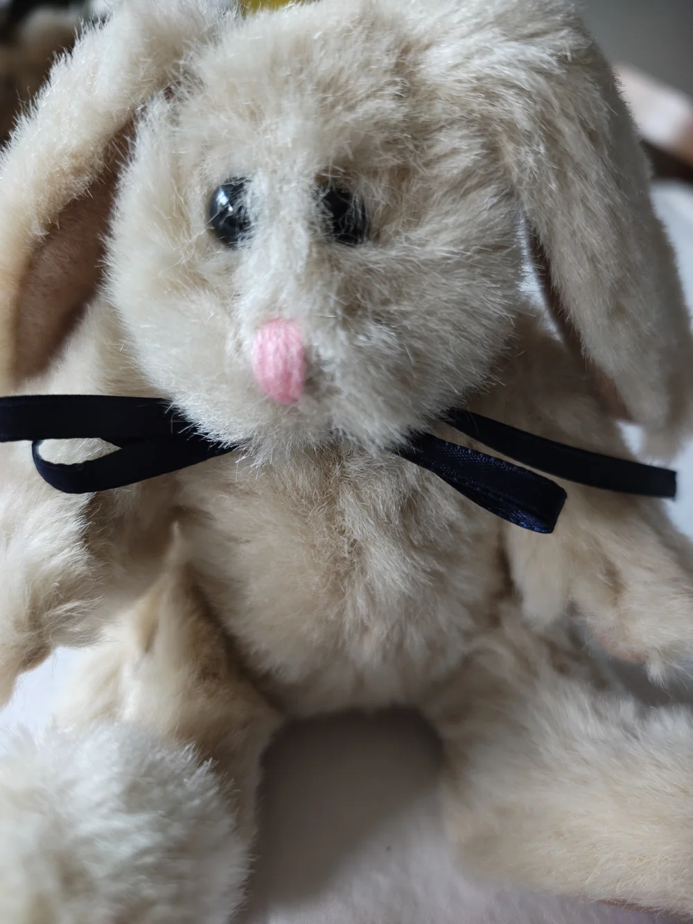Source Unknown Cream Plush Bunny with Black Ribbon